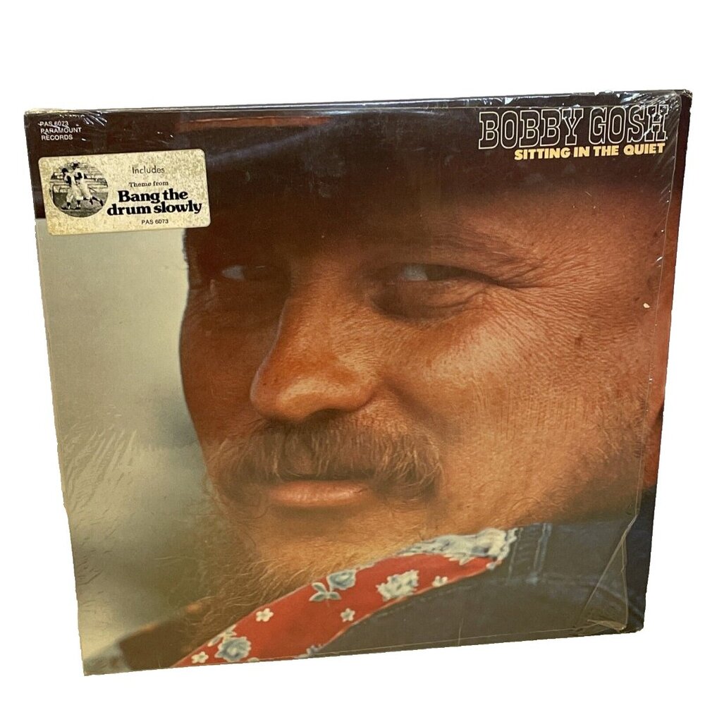 Bobby Gosh Sitting In The Quiet (Vinyl, 1973) Paramount PAS 6073 VG+ LP Record